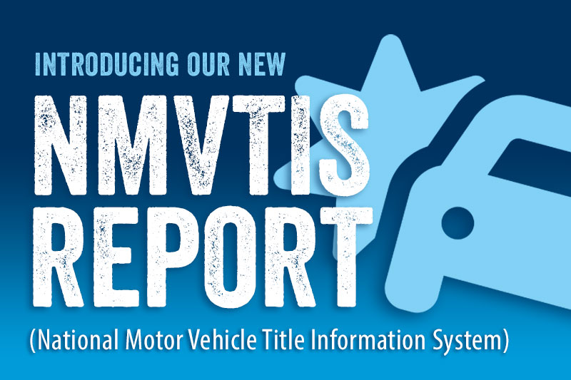 IRBsearch NMVTIS Report